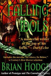 Capa do artigo Falling Idols