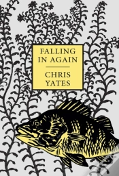Capa do artigo Falling In Again