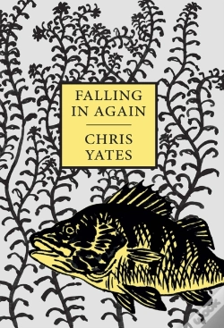 Capa do artigo Falling In Again