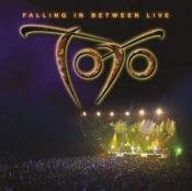Capa do artigo Falling in Between - Vinil