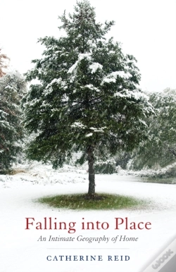 Capa do artigo Falling Into Place