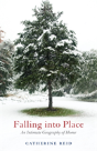 Falling Into Place - Preview