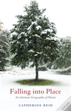 Capa do artigo Falling Into Place