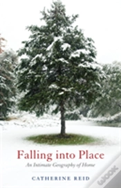 Capa do artigo Falling Into Place