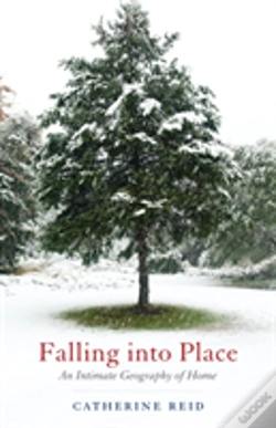 Capa do artigo Falling Into Place