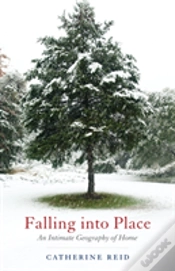Capa do artigo Falling Into Place