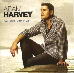 Capa do artigo Falling Into Place - CD
