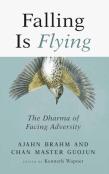 Falling Is Flying