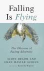 Falling Is Flying - Preview
