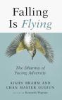 Falling Is Flying - Preview