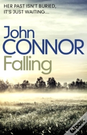 Capa do artigo Falling