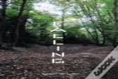 Falling