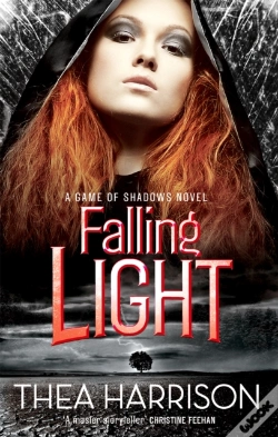 Capa do artigo Falling Light