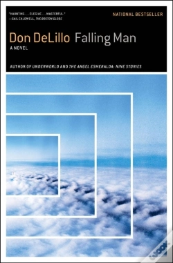 Capa do artigo Falling Man