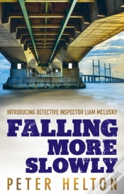 Capa do artigo Falling More Slowly