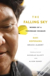 Capa do artigo Falling Sky