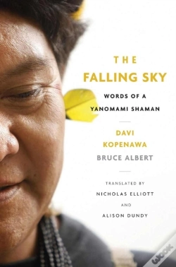 Capa do artigo Falling Sky