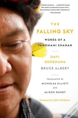 Capa do artigo Falling Sky