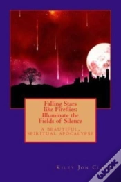 Capa do artigo Falling Stars Like Fireflies: Illuminate