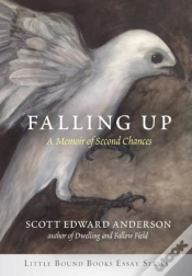 Capa do artigo Falling Up