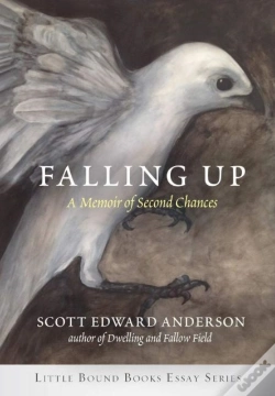 Capa do artigo Falling Up