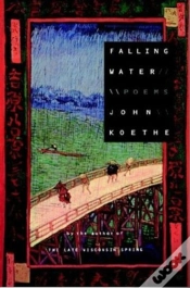 Capa do artigo Falling Water