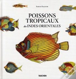 Capa do artigo Fallours Fishes