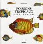 Fallours Fishes - Preview
