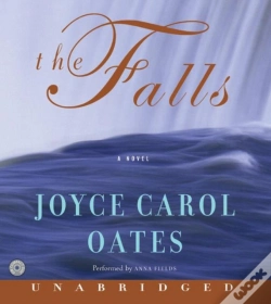 Capa do artigo Falls