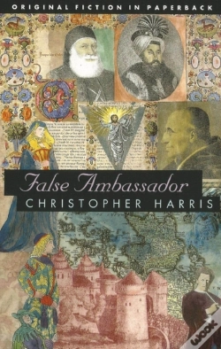 Capa do artigo False Ambassador