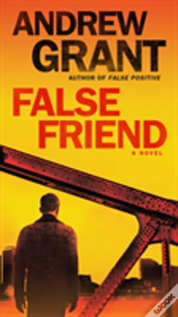Capa do artigo False Friend