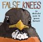 False Knees - Preview