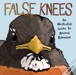 Capa do artigo False Knees