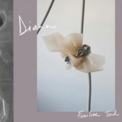 Capa do artigo Familiar Touch - Vinil