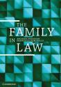 Family In Law - Preview