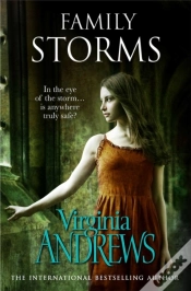 Capa do artigo Family Storms