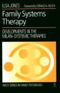 Family Systems Therapy - Preview