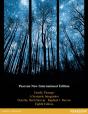 Family Therapy: A Systemic Integration - Preview