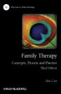 Family Therapy - Preview