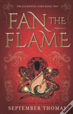 Capa do artigo Fan The Flame