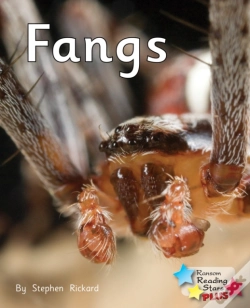 Capa do artigo Fangs