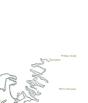 Fantaisies - Preview