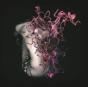 Fantasia - Vinil - Preview