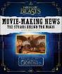 Fantastic Beasts: Wizarding World News - Preview
