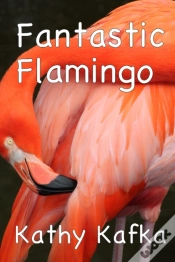 Capa do artigo Fantastic Flamingo