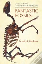 Capa do artigo Fantastic Fossils