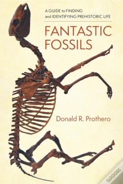 Capa do artigo Fantastic Fossils