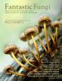 Fantastic Fungi - Preview