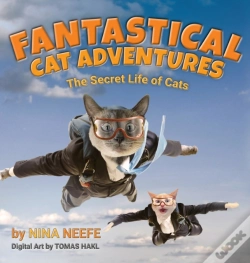 Capa do artigo Fantastical Cat Adventures
