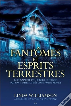 Capa do artigo Fantomes Et Esprits Terrestres
